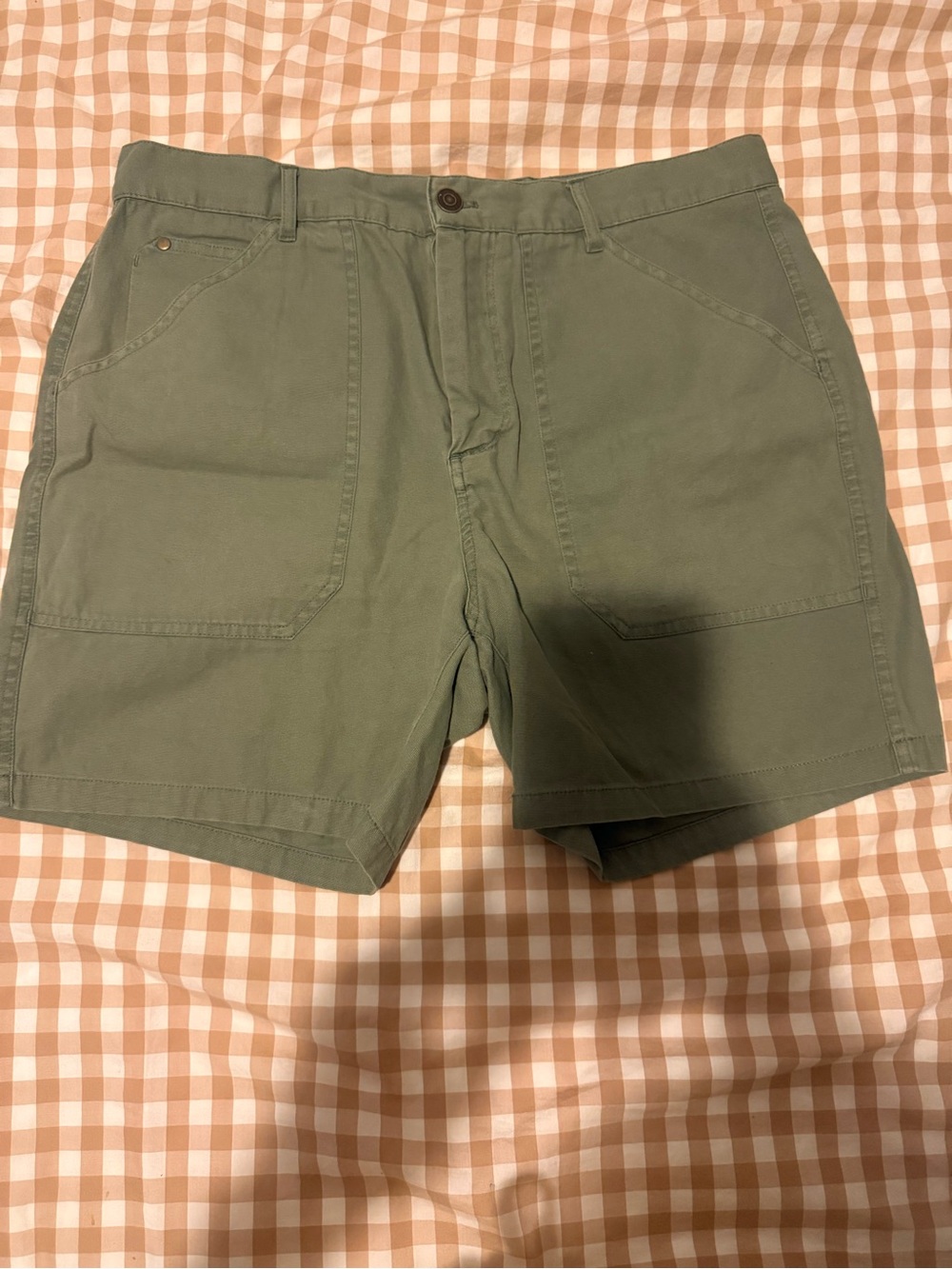 Men’s marine layer shorts size 34 olive